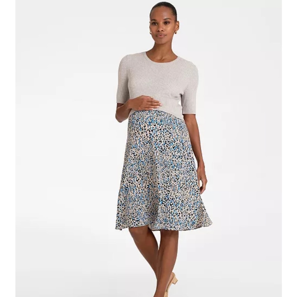 Seraphine Maternity and Nursing Dress